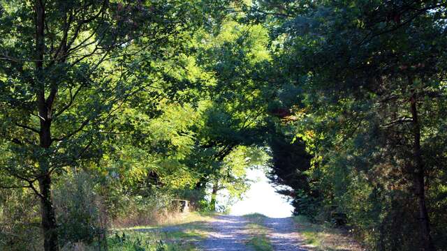 Sentier Le Vizézy
