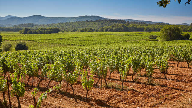 Domaine du Loou