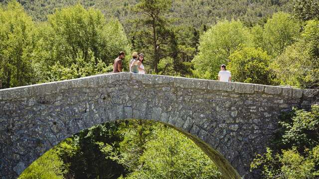 L'Avelanier depuis La Martre