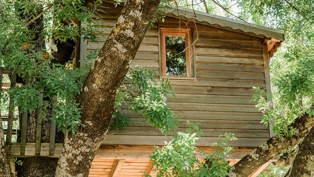 La Cabane - Moulin Saint Augustin