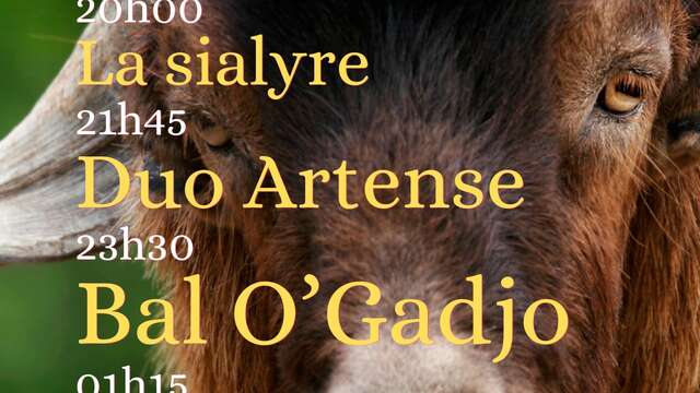 Bal concert Pop trad du samedi