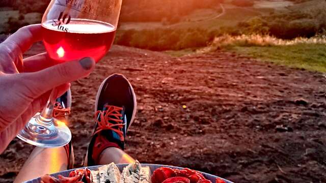 Vaingabond - Balade dans les vignes et apéro sunset