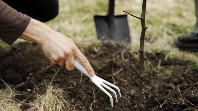 Atelier plantation à la Maison de la Châtaigne