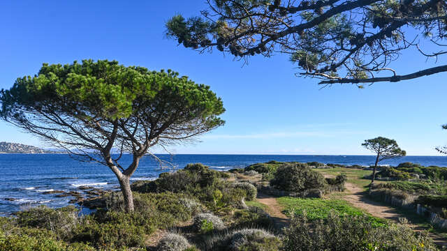 La Pointe des Sardinaux