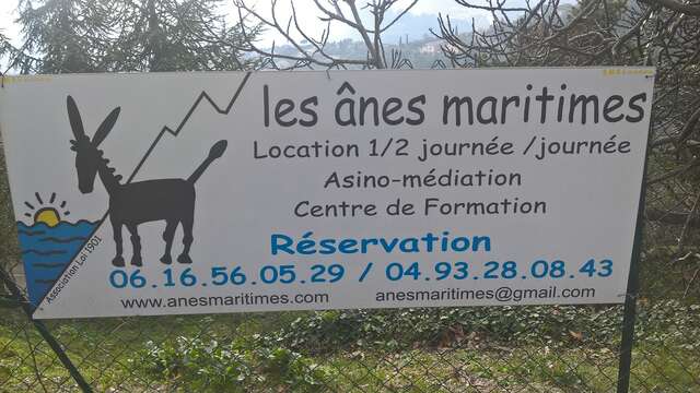 Les Anes Maritimes