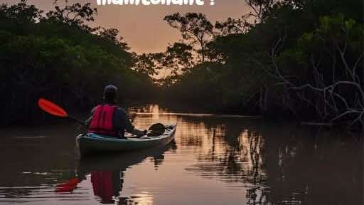 Kayak au clair de lune à Bourail