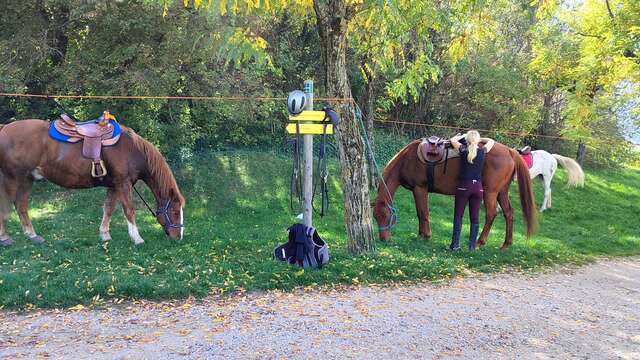 Chevauchée jusqu'au Château de Mison