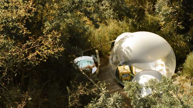 Les Bulles des Géorennes