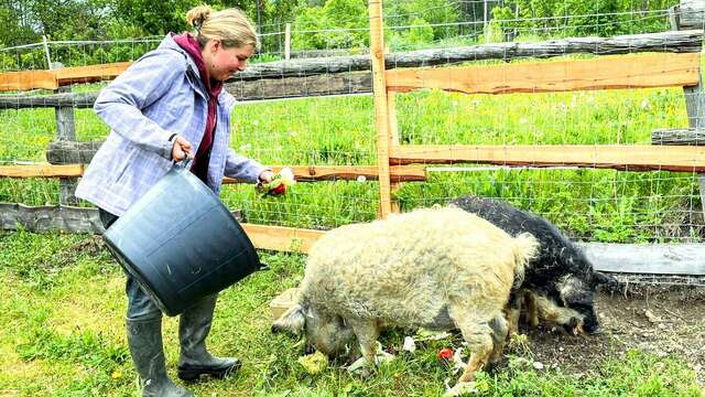 Expérience "Fermier.es d'un soir" - La Petite Ferme des Regains