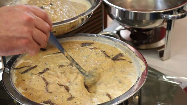 Dégustation de brouillade truffée