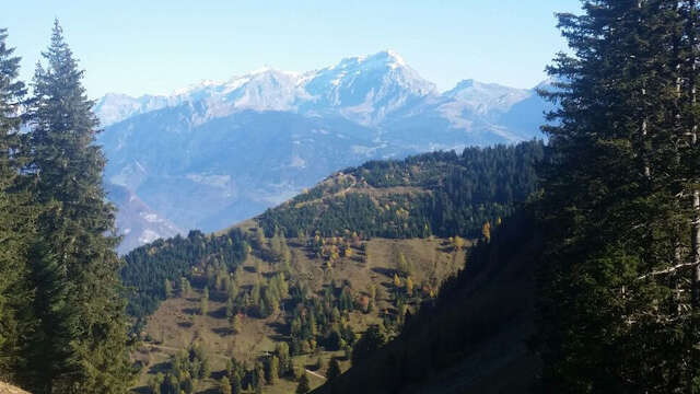 Parcours trail 31 bleu : sur les Fours