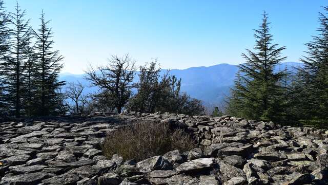 Le Tumulus de l'Elzière