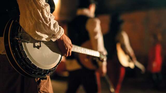 Session celtique au Paddy