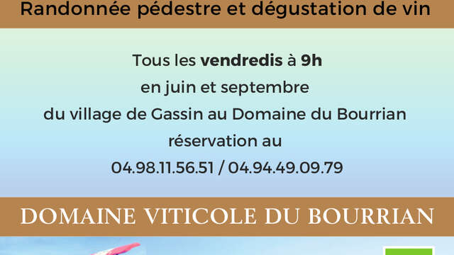 Randonnée pédestre et dégustation de vin