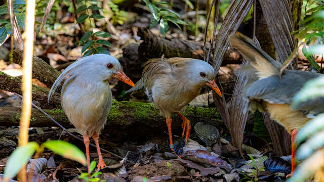 Guided Tour at Blue River Provincial Park - ETIC NC