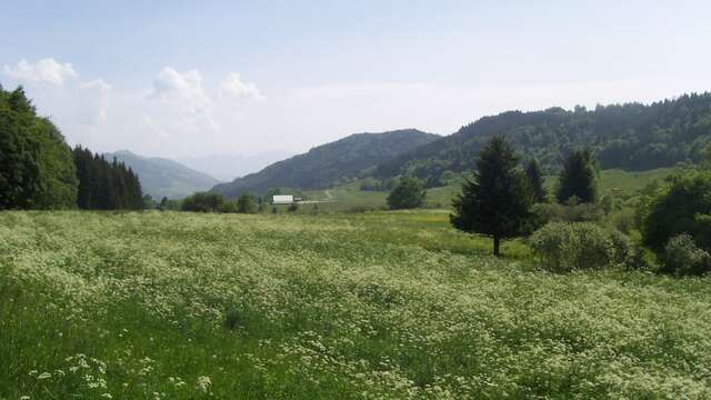 Circuit Trail 5 - Boucle du plateau des Moises