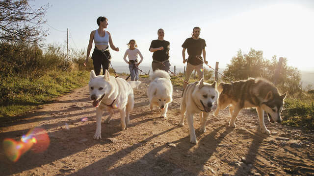 Kimudjuk - Les chiens nordiques du massif du Pilat