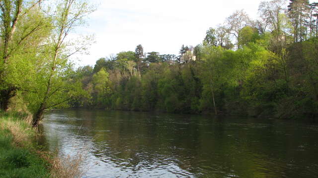 Boucle de Veauchette - Wandelpaden langs de Loire