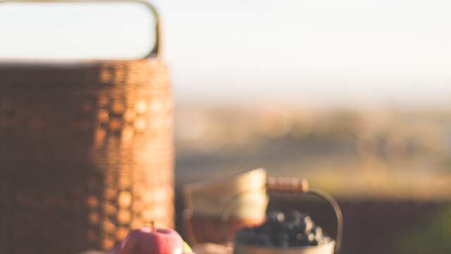 Picknickplatz - Le salève vue Mont-Blanc