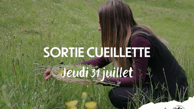 Sortie Cueillette