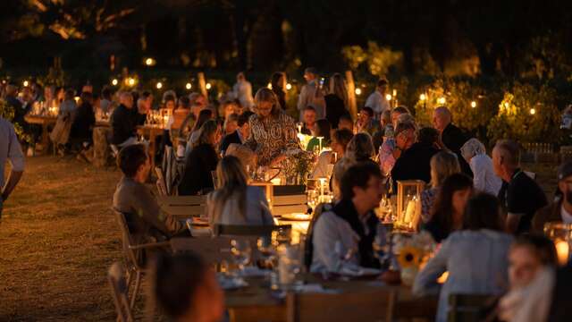 Dîner dans les vignes - Domaine Fondugues-Pradugues