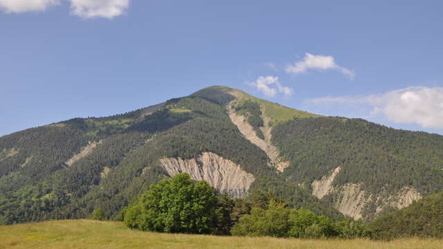 Trail N° 8 : KMV Le Blayeul - Très difficile - 4,6km