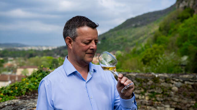 Les sens de la vigne - La cave des copains