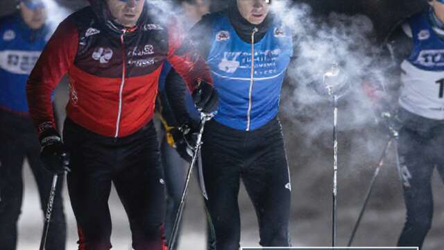 Les nocturnes du domaine nordique