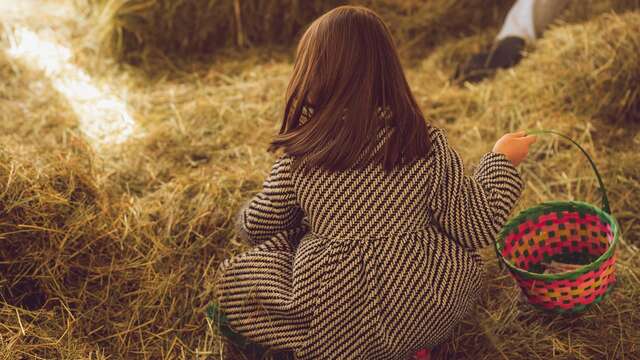 Chasse aux oeufs - Les Vacances aux halles du centre