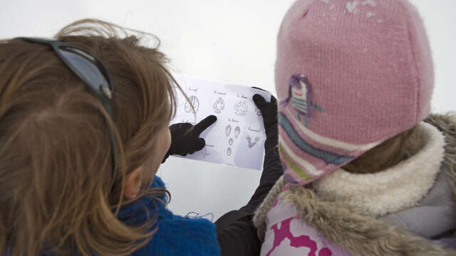 Le partage de la montagne