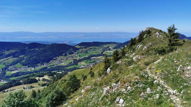 Randonnée "Les crêtes d'Hirmentaz depuis le Darandet"