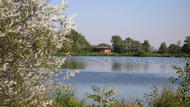 Forez Pond house and nature reserve of Biterne