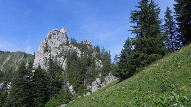 Le Col de Savalène (d'Arvouin)