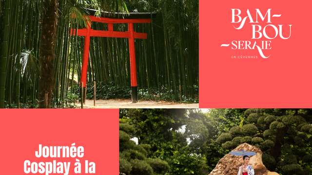 Journée cosplay