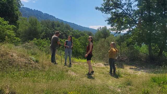 Balade dans les vignes - Cave du Gravillas