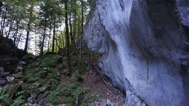 Les Gorges des Tines