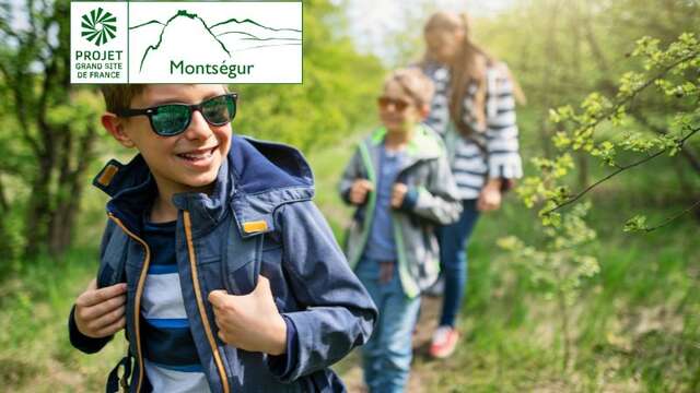 Découvrons l’écosystème forestier et sa biodiversité