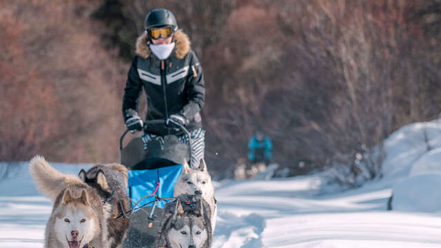 Azak Mushing