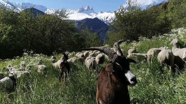 La Bergerie de l'Etoile