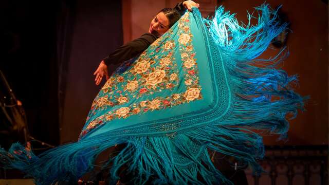 Les Musicales dans les Vignes - Flamenco au château Barbebelle