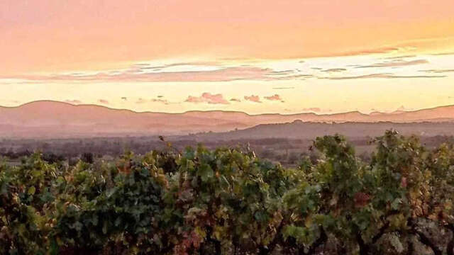 Les Vignerons de St Jean De Serres
