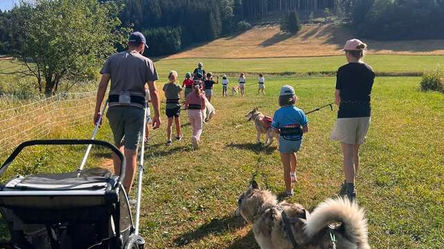 Nordic dog activities on le plateau des Moises