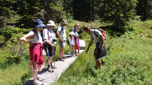 Guided tour of the flora and natural environments trail