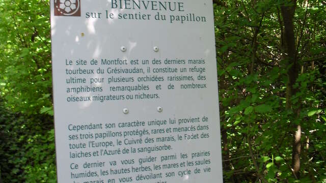 Le sentier des papillons