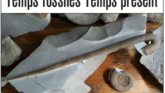 Temps fossiles Temps présent - Exposition