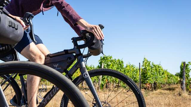 Circuit Gravel / Bikepacking - Angers, entre Loire et vignoble