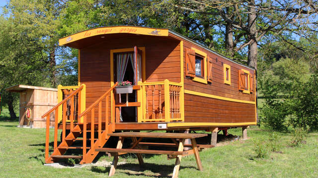 Trailer "Les Rouges-Gorges"