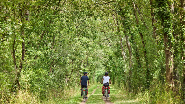 L'Authion à vélo