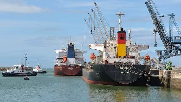 Le port de commerce (scolaires)