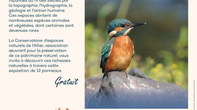 Exposition "Les milieux naturels de l'Allier"